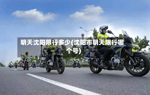 明天沈阳限行多少(沈阳市明天限行哪个号)