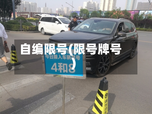 自编限号(限号牌号)-第2张图片