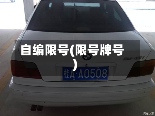 自编限号(限号牌号)