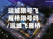 运城限号飞雁桥限号吗/运城飞雁桥喷泉什么时间开放-第2张图片