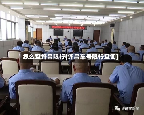 怎么查许昌限行(许昌车号限行查询)-第2张图片