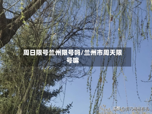 周日限号兰州限号吗/兰州市周天限号嘛