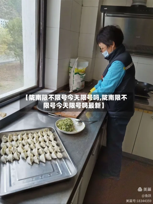 【陇南限不限号今天限号吗,陇南限不限号今天限号吗最新】-第2张图片