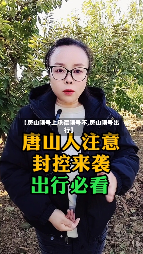 【唐山限号上承德限号不,唐山限号出行】-第3张图片