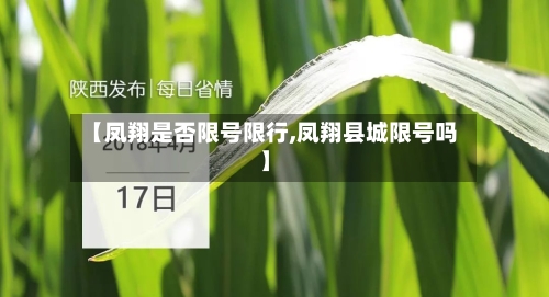 【凤翔是否限号限行,凤翔县城限号吗】