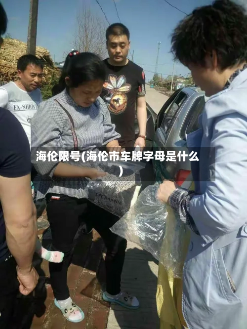 海伦限号(海伦市车牌字母是什么)