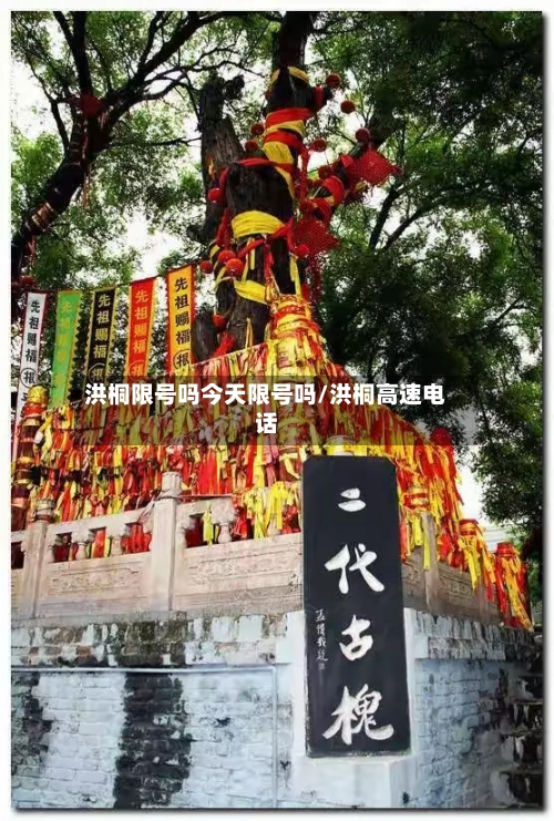 洪桐限号吗今天限号吗/洪桐高速电话-第3张图片