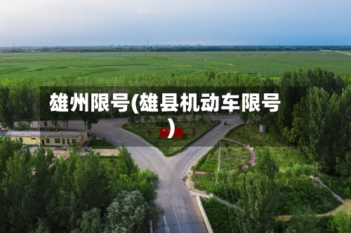 雄州限号(雄县机动车限号)