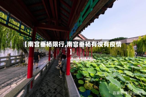 【南宫垂杨限行,南宫垂杨有没有疫情】-第2张图片