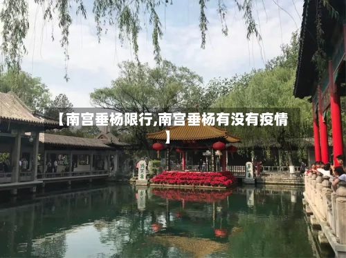 【南宫垂杨限行,南宫垂杨有没有疫情】-第3张图片