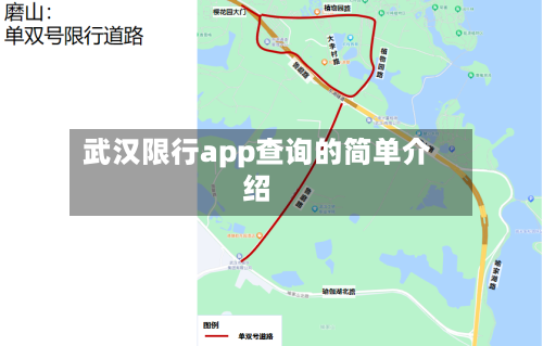 武汉限行app查询的简单介绍