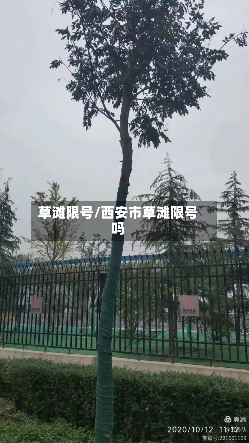 草滩限号/西安市草滩限号吗-第2张图片