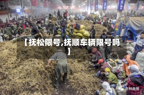 【抚松限号,抚顺车辆限号吗】