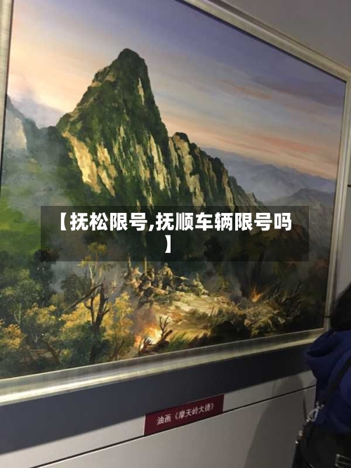【抚松限号,抚顺车辆限号吗】-第2张图片