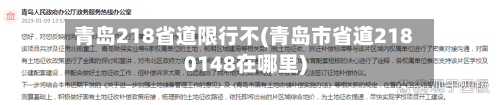 青岛218省道限行不(青岛市省道2180148在哪里)-第3张图片