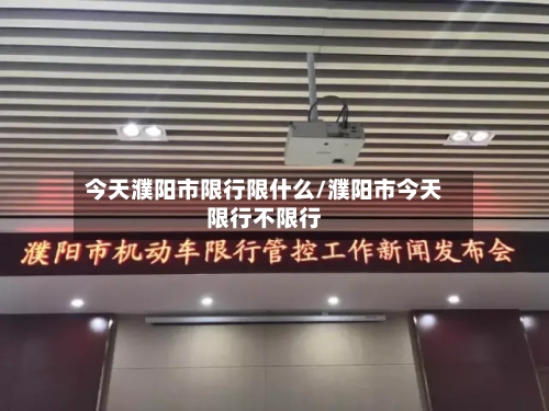 今天濮阳市限行限什么/濮阳市今天限行不限行-第3张图片
