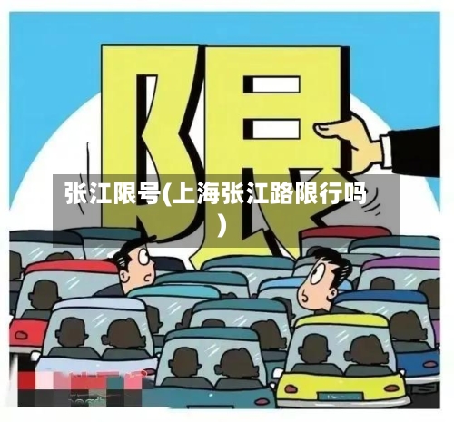张江限号(上海张江路限行吗)