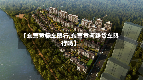 【东营黄标车限行,东营黄河路货车限行吗】-第2张图片