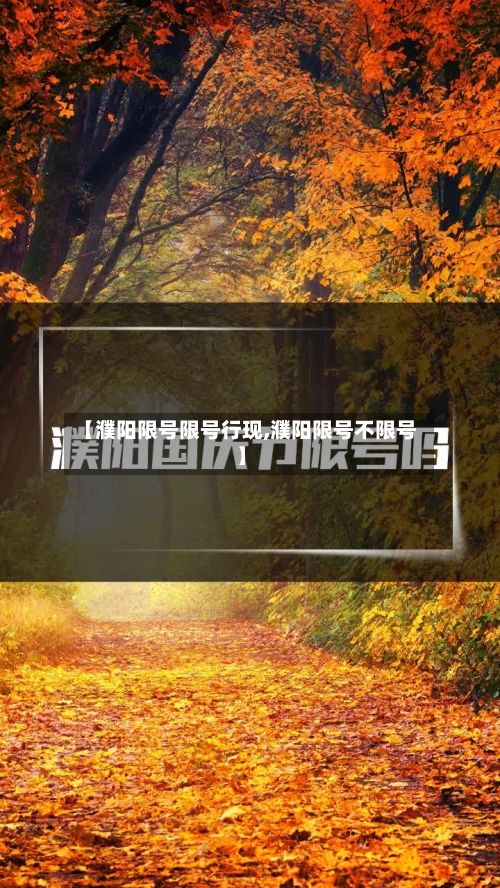 【濮阳限号限号行现,濮阳限号不限号】-第2张图片