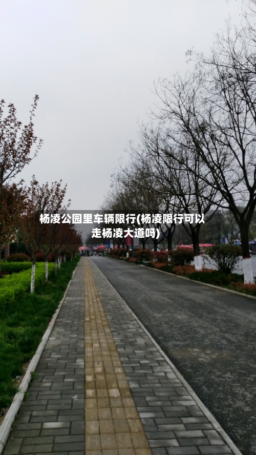 杨凌公园里车辆限行(杨凌限行可以走杨凌大道吗)