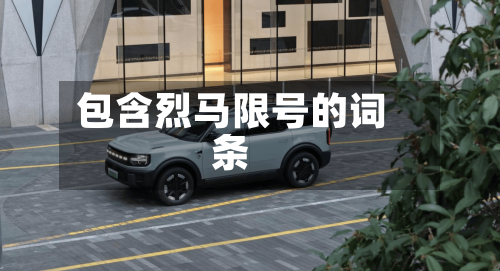 包含烈马限号的词条