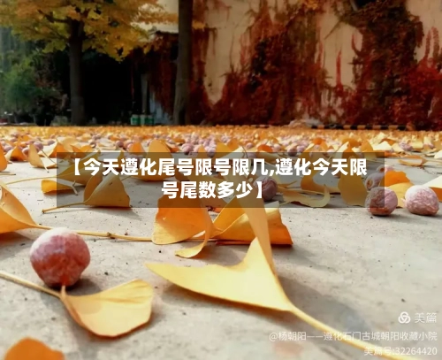 【今天遵化尾号限号限几,遵化今天限号尾数多少】