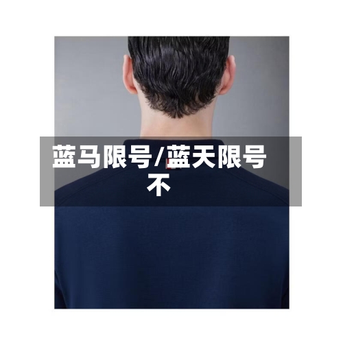 蓝马限号/蓝天限号不