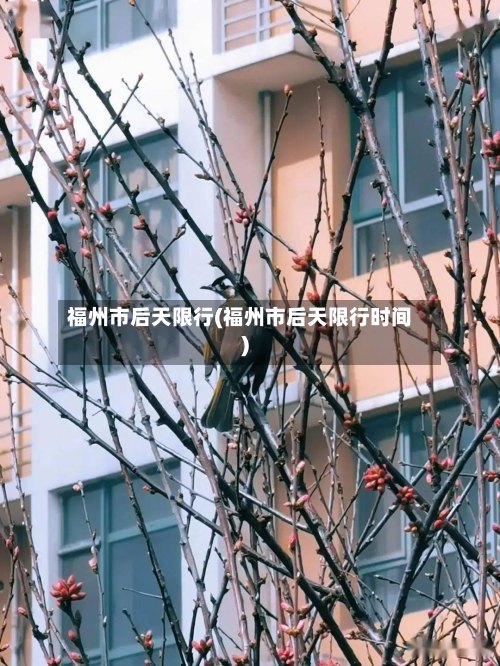 福州市后天限行(福州市后天限行时间)-第3张图片