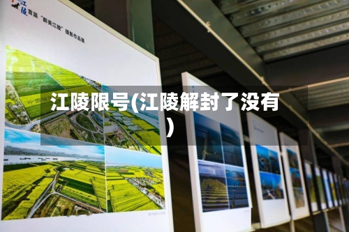江陵限号(江陵解封了没有)-第2张图片