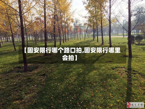 【固安限行哪个路口拍,固安限行哪里会拍】-第3张图片