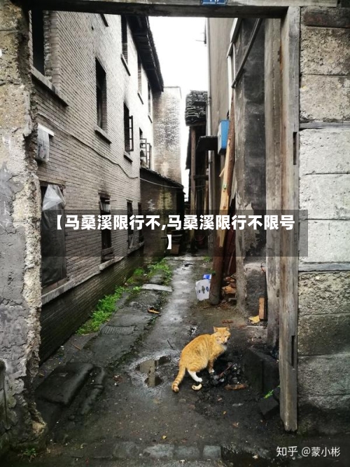 【马桑溪限行不,马桑溪限行不限号】-第3张图片