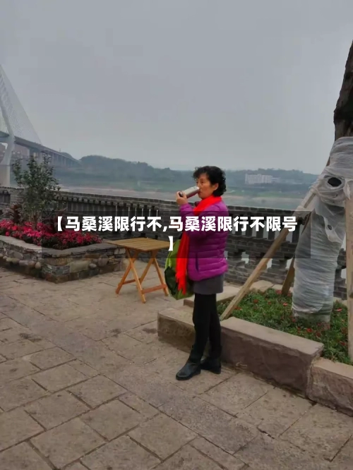 【马桑溪限行不,马桑溪限行不限号】-第2张图片