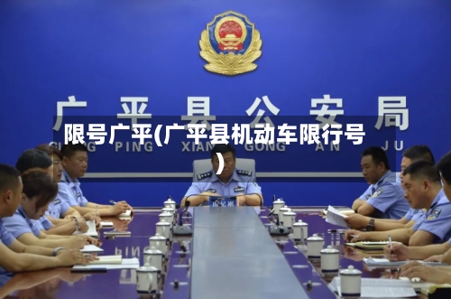 限号广平(广平县机动车限行号)-第2张图片