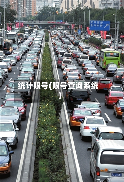 统计限号(限号查询系统)