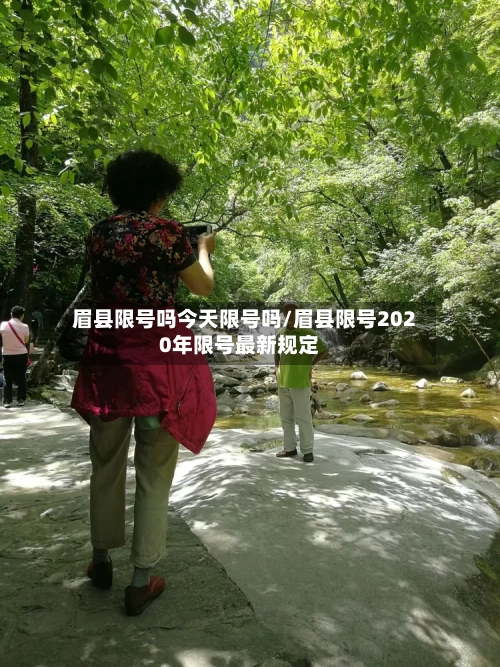 眉县限号吗今天限号吗/眉县限号2020年限号最新规定
