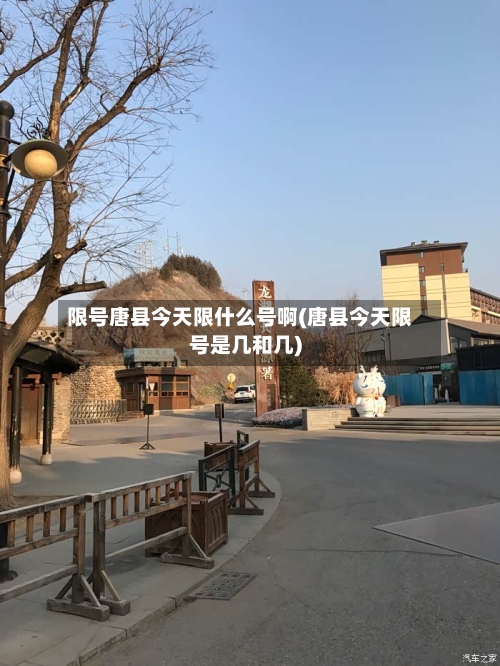 限号唐县今天限什么号啊(唐县今天限号是几和几)-第2张图片