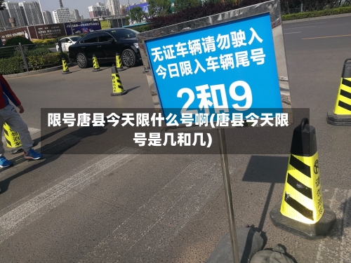 限号唐县今天限什么号啊(唐县今天限号是几和几)