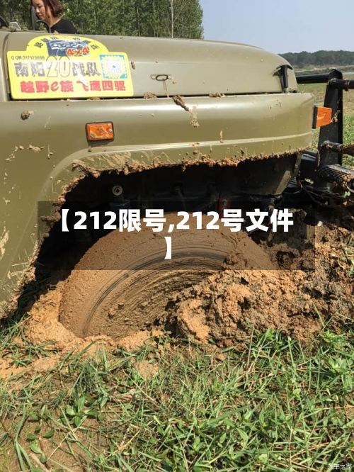 【212限号,212号文件】