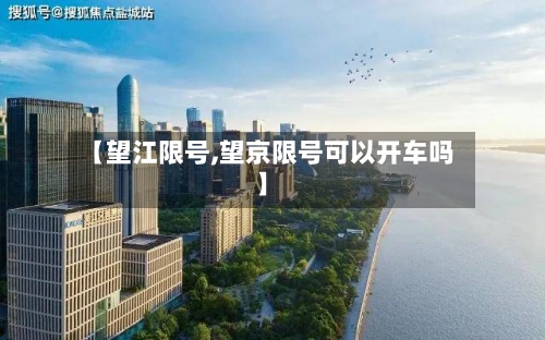【望江限号,望京限号可以开车吗】-第2张图片