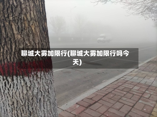 聊城大雾加限行(聊城大雾加限行吗今天)-第3张图片