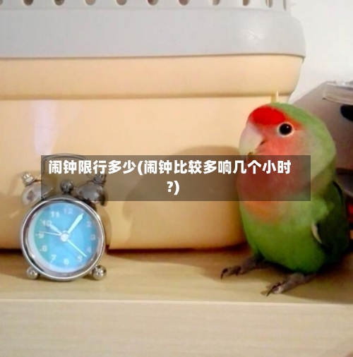 闹钟限行多少(闹钟比较多响几个小时?)-第2张图片