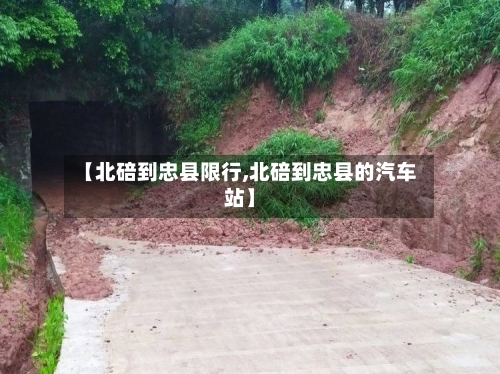 【北碚到忠县限行,北碚到忠县的汽车站】-第2张图片
