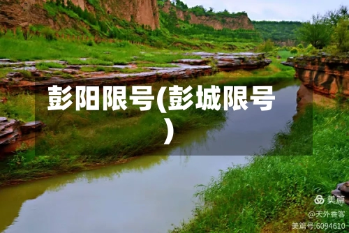 彭阳限号(彭城限号)