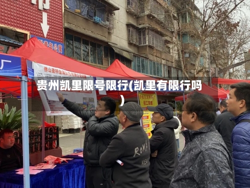 贵州凯里限号限行(凯里有限行吗)