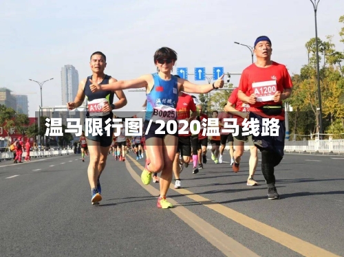 温马限行图/2020温马线路