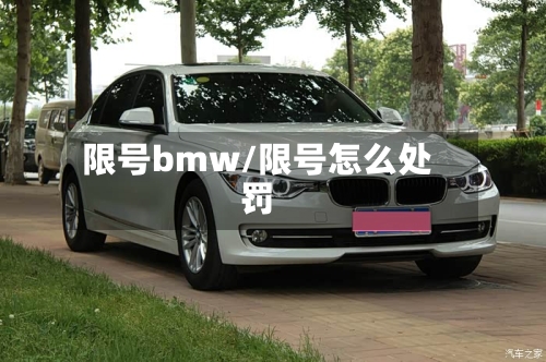 限号bmw/限号怎么处罚-第2张图片