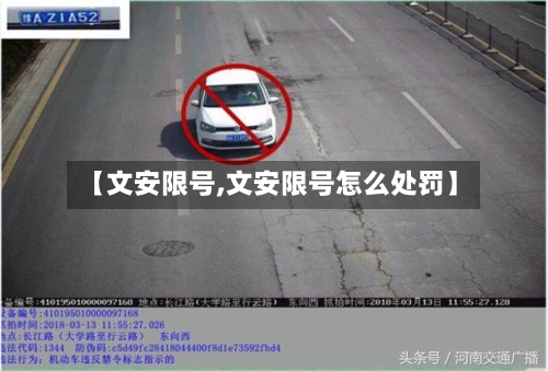 【文安限号,文安限号怎么处罚】