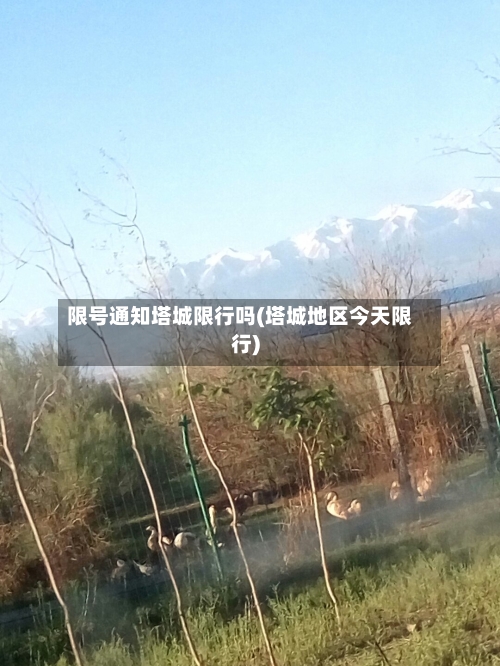 限号通知塔城限行吗(塔城地区今天限行)-第2张图片
