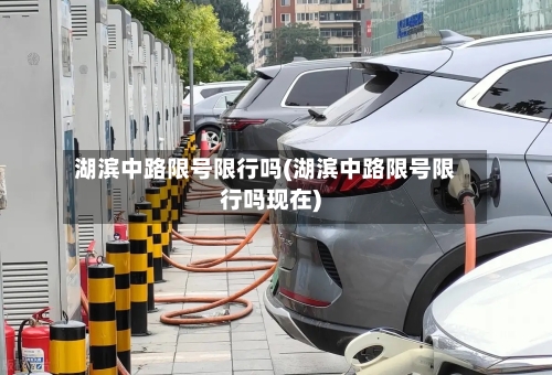 湖滨中路限号限行吗(湖滨中路限号限行吗现在)-第2张图片