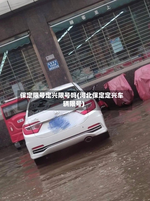 保定限号定兴限号吗(河北保定定兴车辆限号)-第2张图片